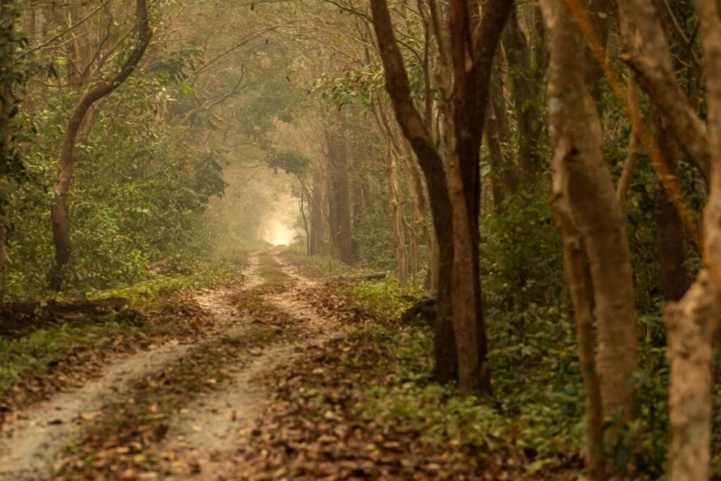 Scenic wildlife reserve offering forest trekking, wildlife experiences, and mountain landscapes.