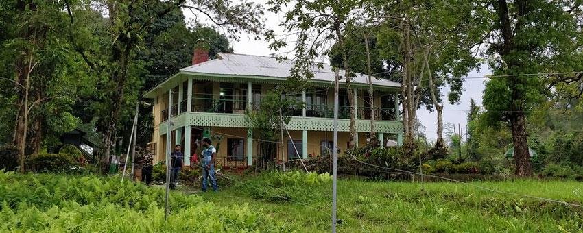 Scenic watchtower ideal for bird watching and enjoying peaceful jungle surroundings.