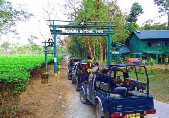 Famous wildlife sanctuary known for Indian rhinoceros, elephants, bison, and rich forest biodiversity.