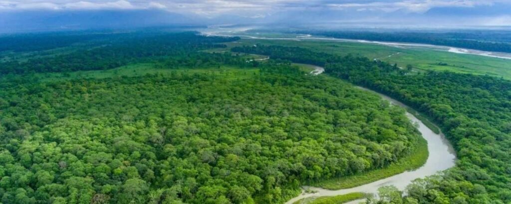 Famous wildlife sanctuary known for one-horned rhinoceros, elephants, deer, and thrilling jungle safaris.