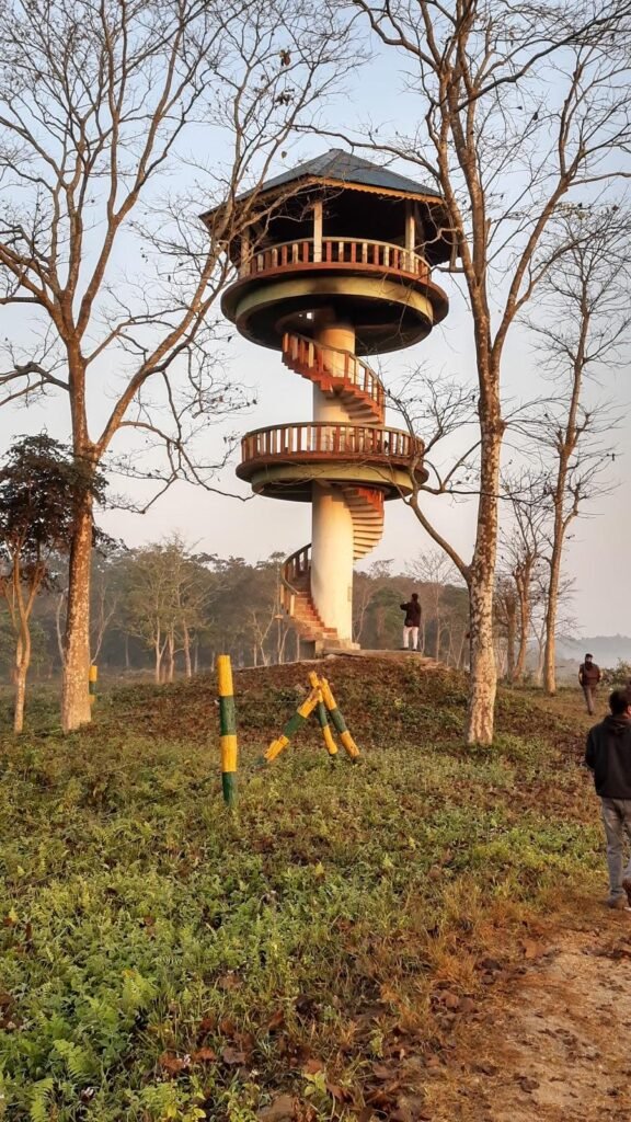 Popular wildlife watchtower offering panoramic forest views and animal spotting experiences.