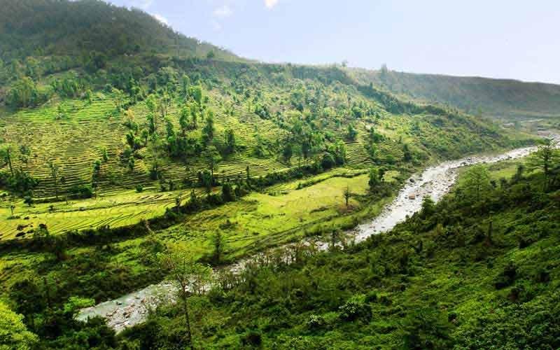 Beautiful hill destination surrounded by tea gardens, forests, and scenic mountain views