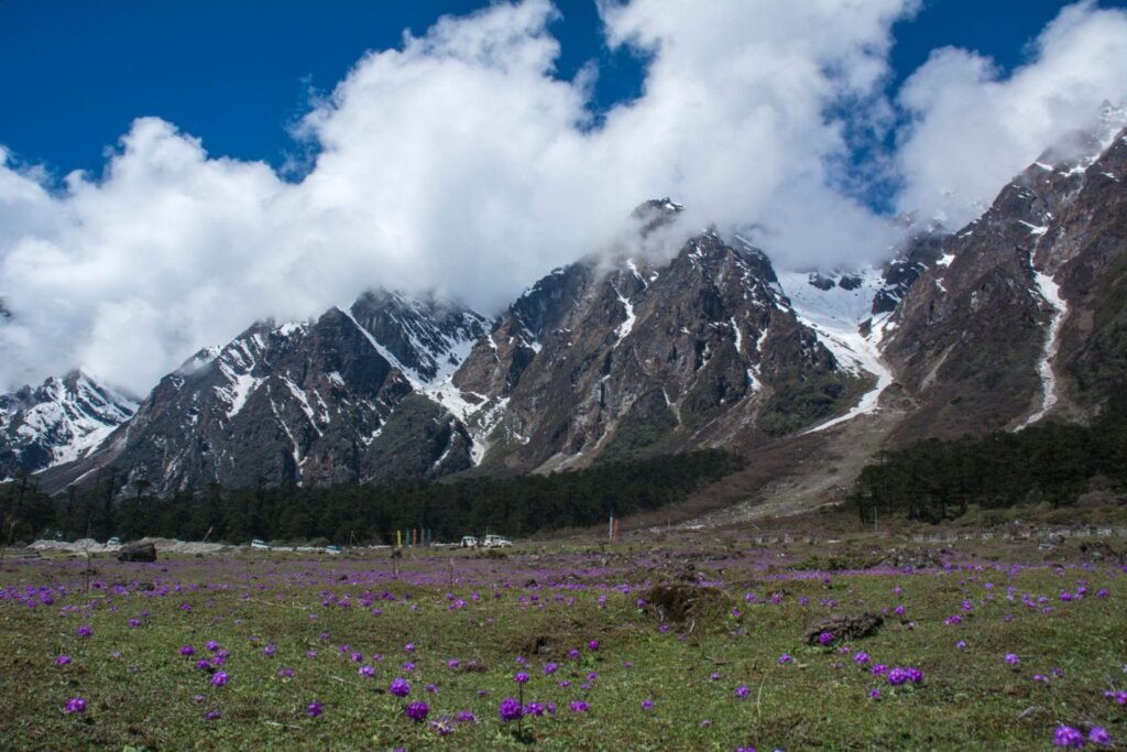 Known as the Valley of Flowers, famous for colorful blooms and stunning Himalayan beauty.